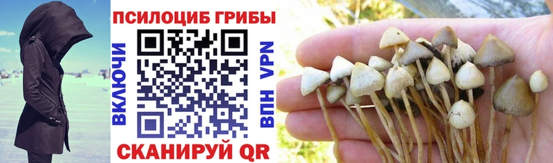 Псилоцибиновые грибы мицелий  Первоуральск 